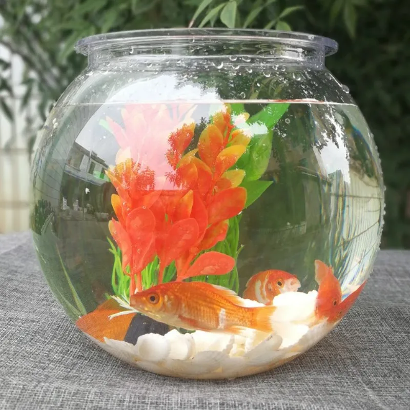 Planted Aquarium For Goldfish - Goldfish bowl pulpit przeźroczyste tworzywo sztuczne