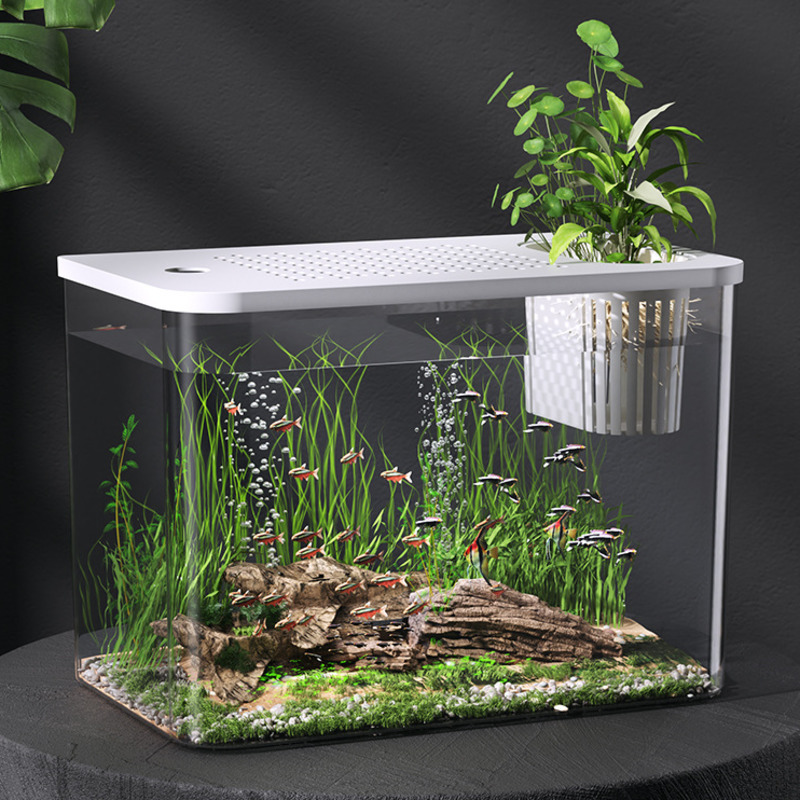Planted Aquarium For Goldfish - Plastikowy Akwarium z Pokrywką Przezroczysty Mini