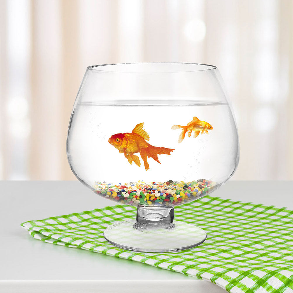 Planted Aquarium For Goldfish - 2 szt. przezroczyste szklane akwarium na