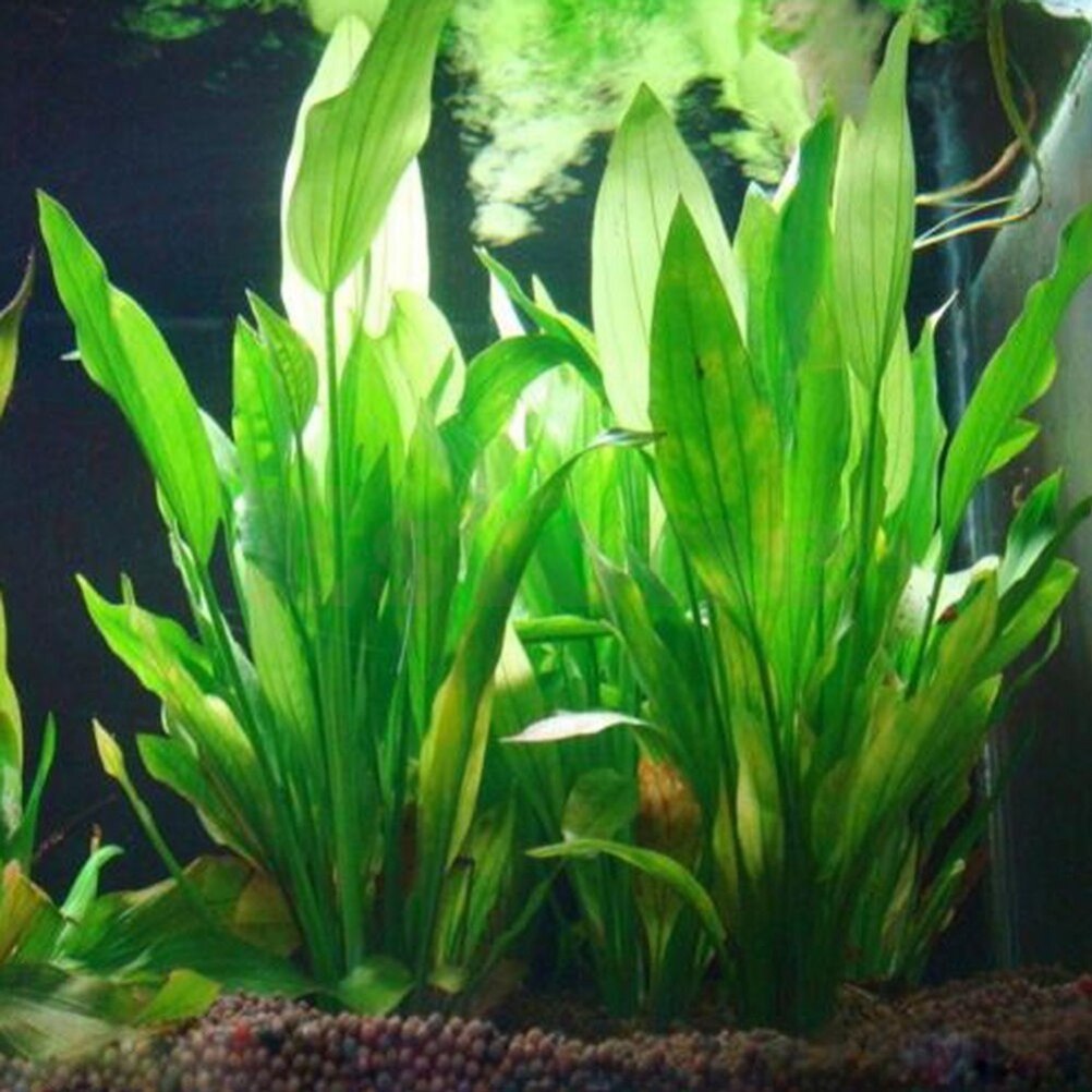 Aquarium Plant Design - 15cm sztuczne akwarium rośliny dekoracyjne ozdobne
