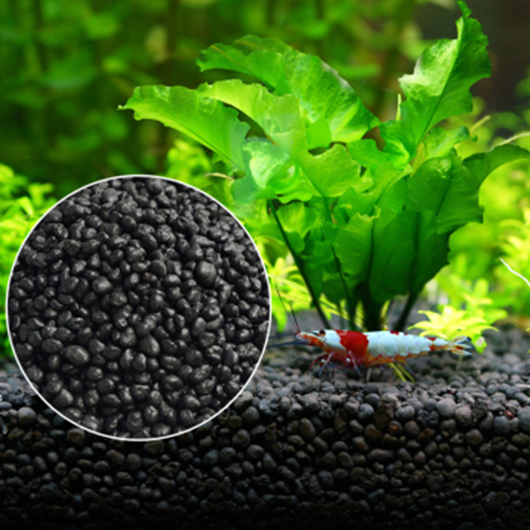 Aquarium Plants Book - Roślina akwariowa nasiona gleba akwarium podłoże