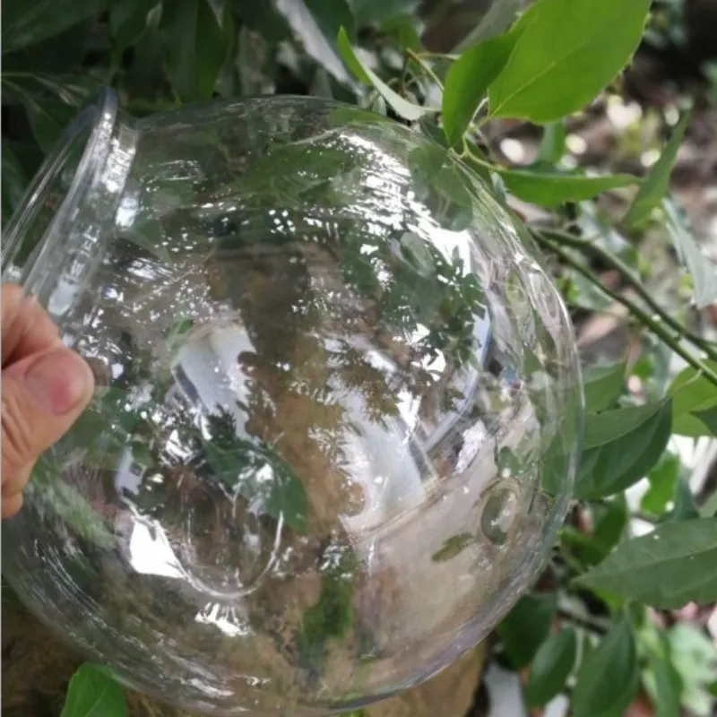 Goldfish bowl pulpit przeźrocz – Planted Aquarium For Goldfish recenzja i cena