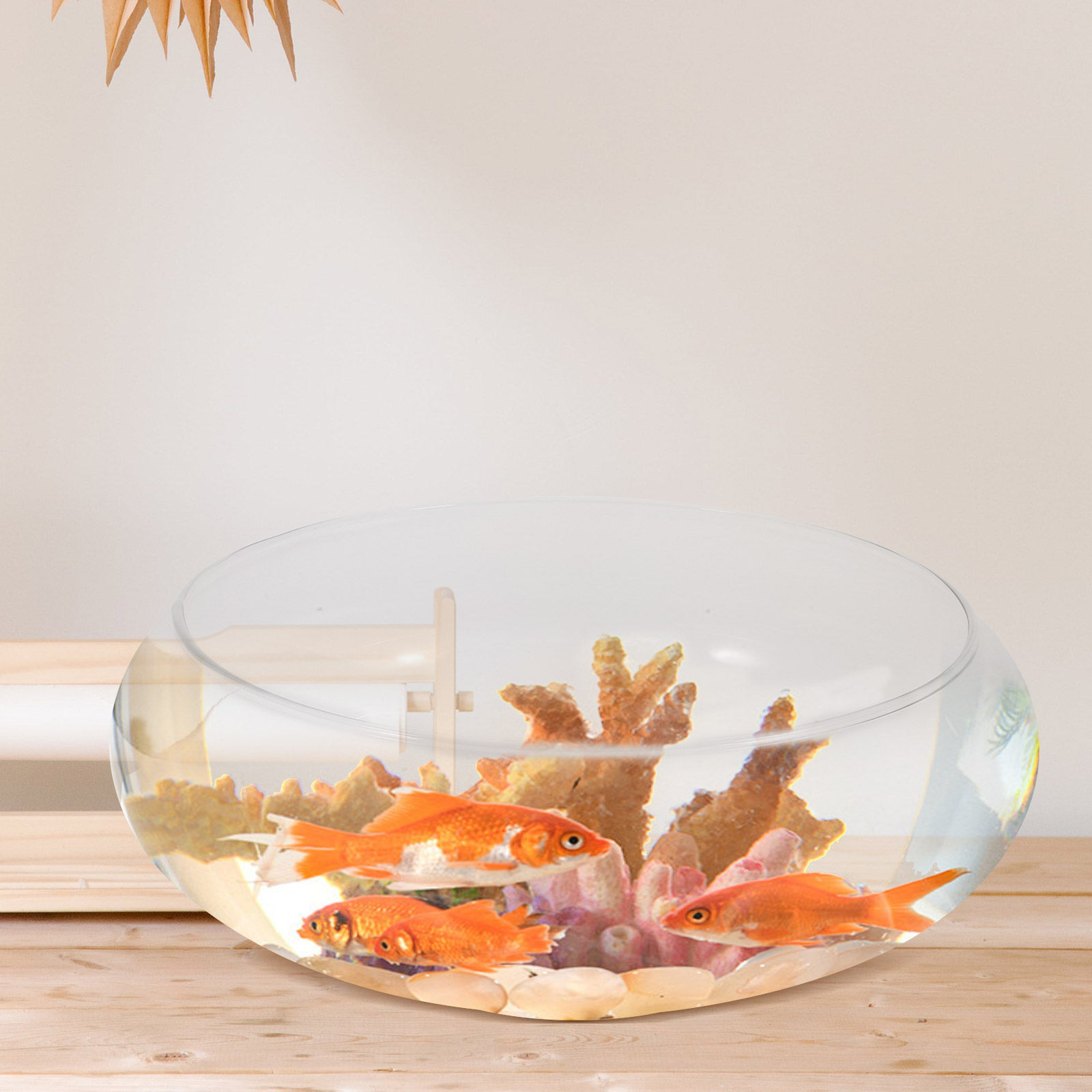 Szklana miska na ryby, mały ak – Planted Aquarium For Goldfish recenzja i cena