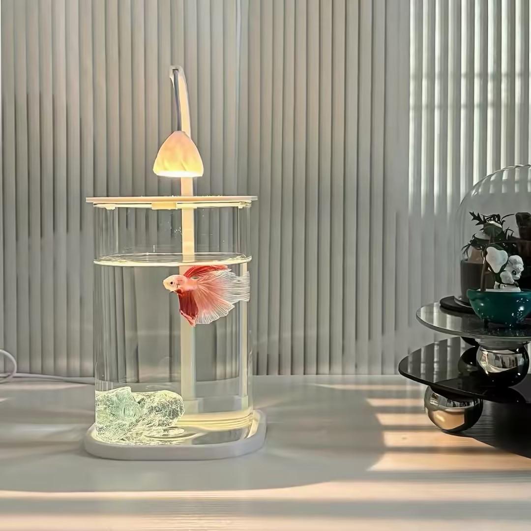 360 °   Panoramiczne Przezrocz – Planted Aquarium For Goldfish recenzja i cena