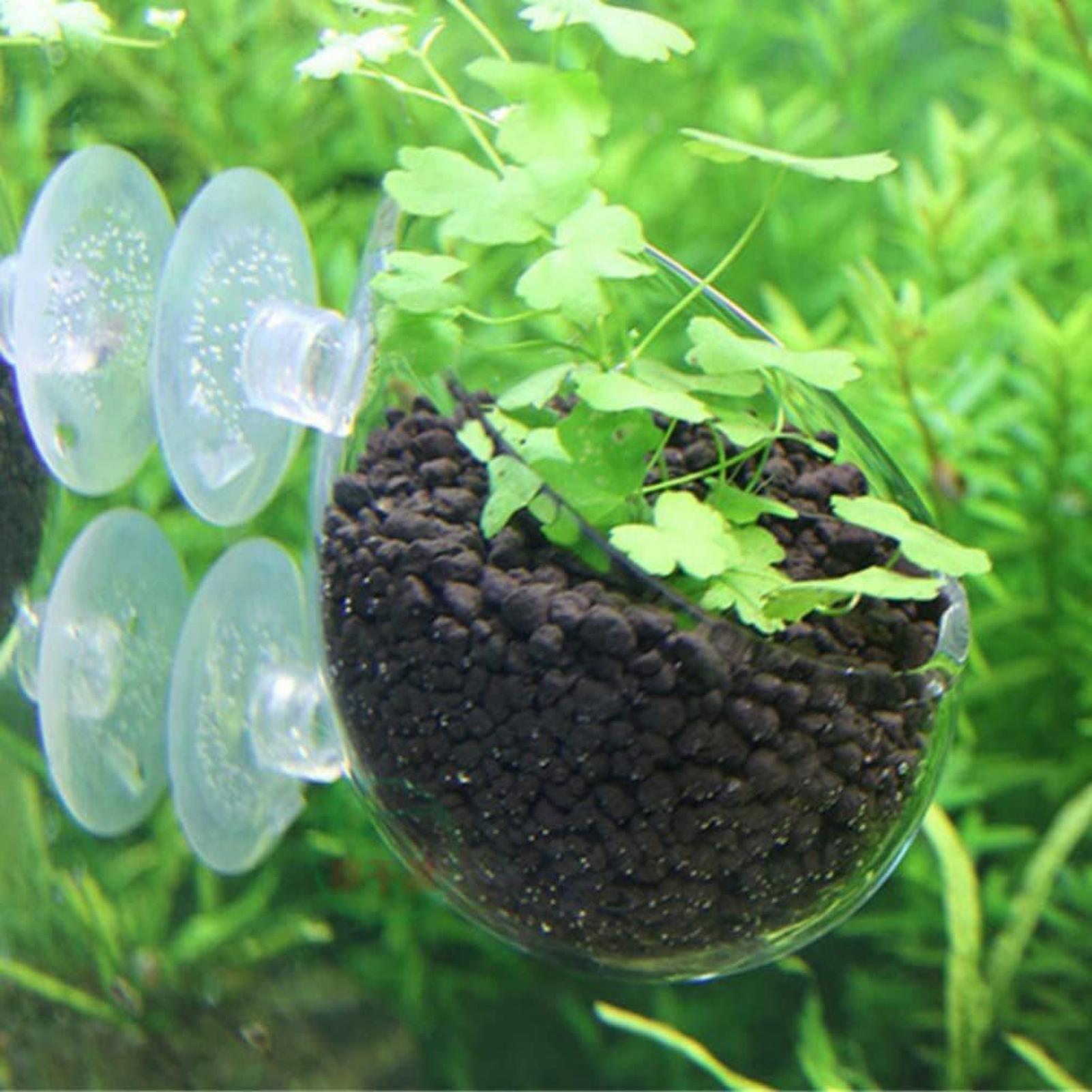 Szklany uchwyt na rośliny akwa – Aquarium Plant Design recenzja i cena