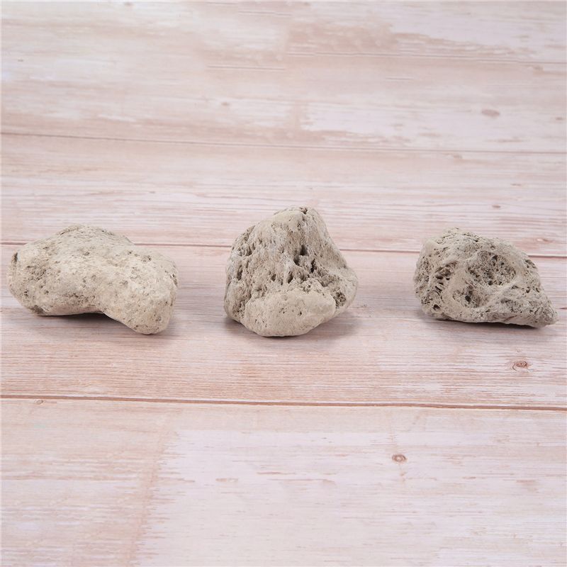 AS60-3Pcs Pływające prawdziwe  – Planted Aquarium Models recenzja i cena