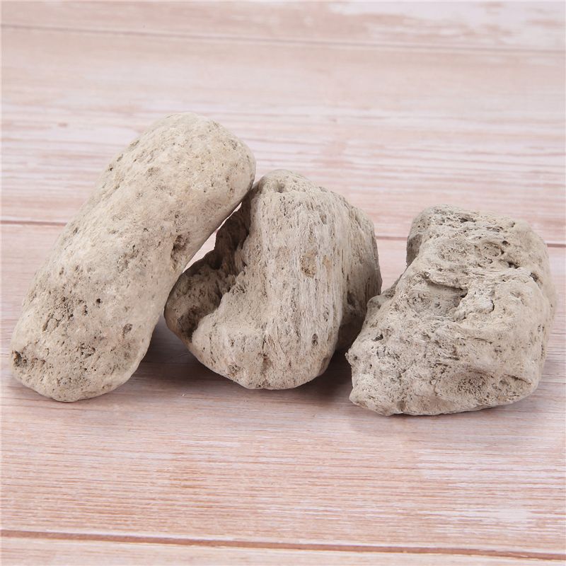 AS60-3Pcs Pływające prawdziwe  – Planted Aquarium Models recenzja i cena