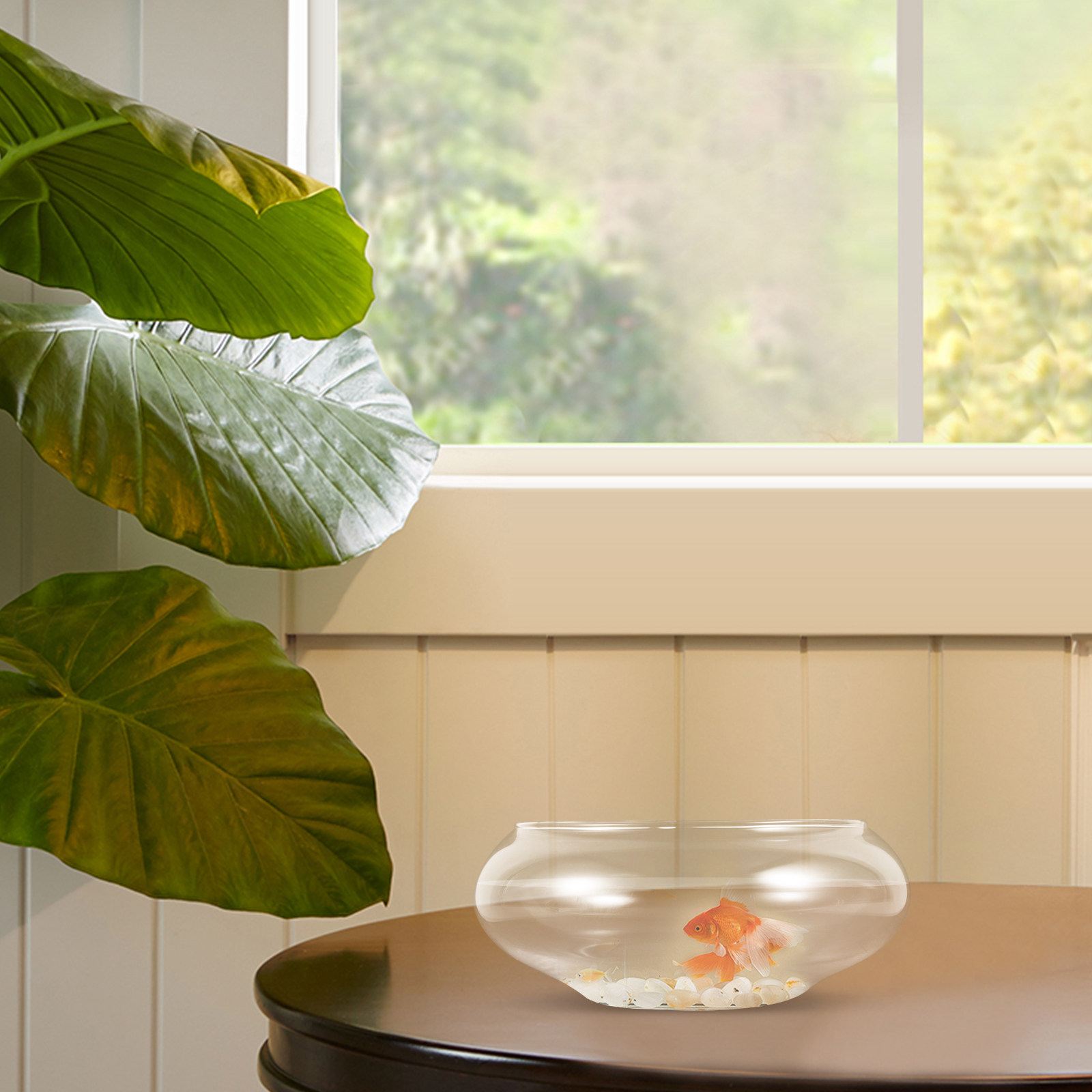Przezroczyste szklane akwarium – Planted Aquarium For Goldfish recenzja i cena