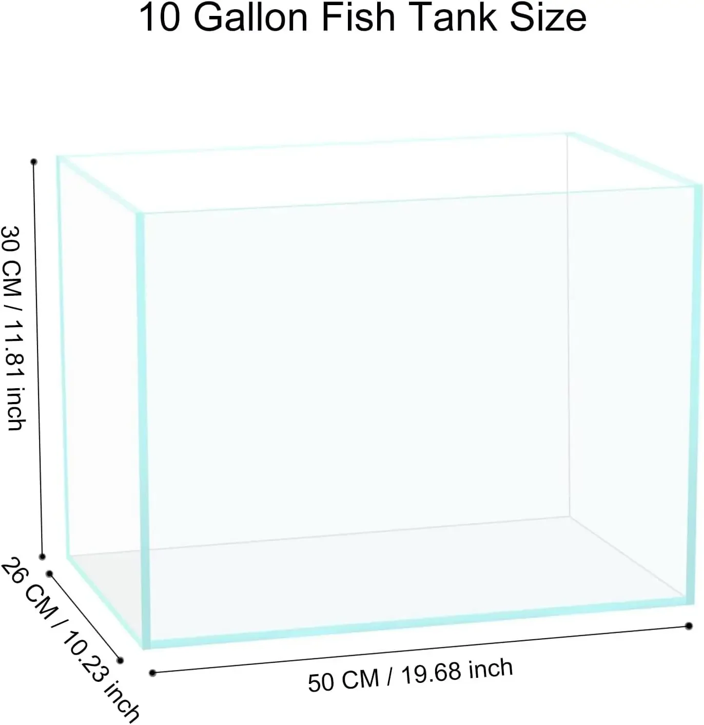 Szklane akwarium o pojemności  – Planted Aquarium For Goldfish recenzja i cena