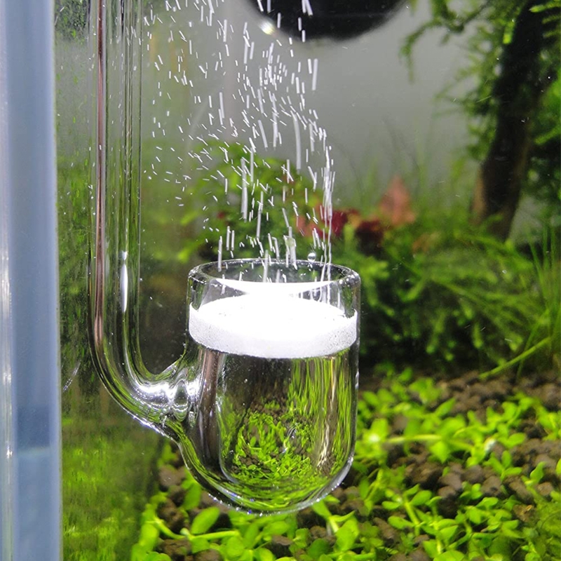 Szklany dyfuzor CO2 przezroczy – Glass Co2 Drop Checker recenzja i cena