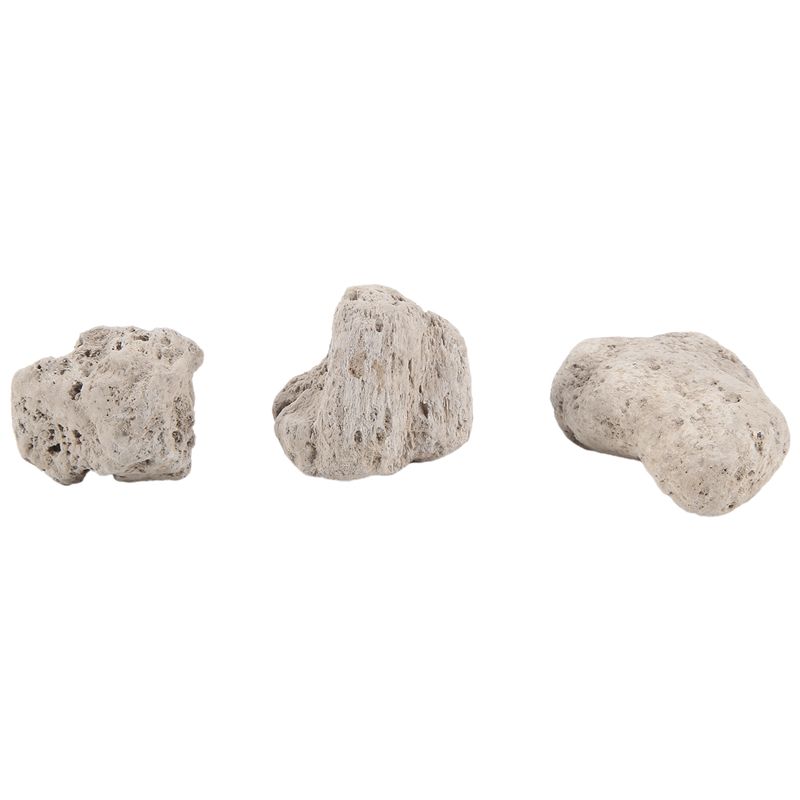 ABKS – zestaw 3 sztuk, realist – Planted Aquarium Models recenzja i cena