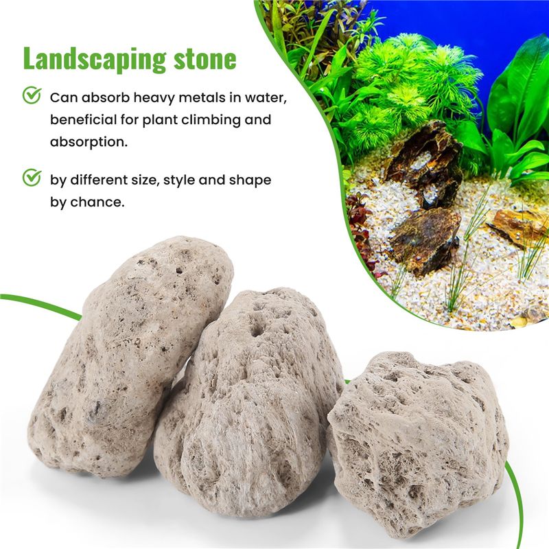 ABKS – zestaw 3 sztuk, realist – Planted Aquarium Models recenzja i cena