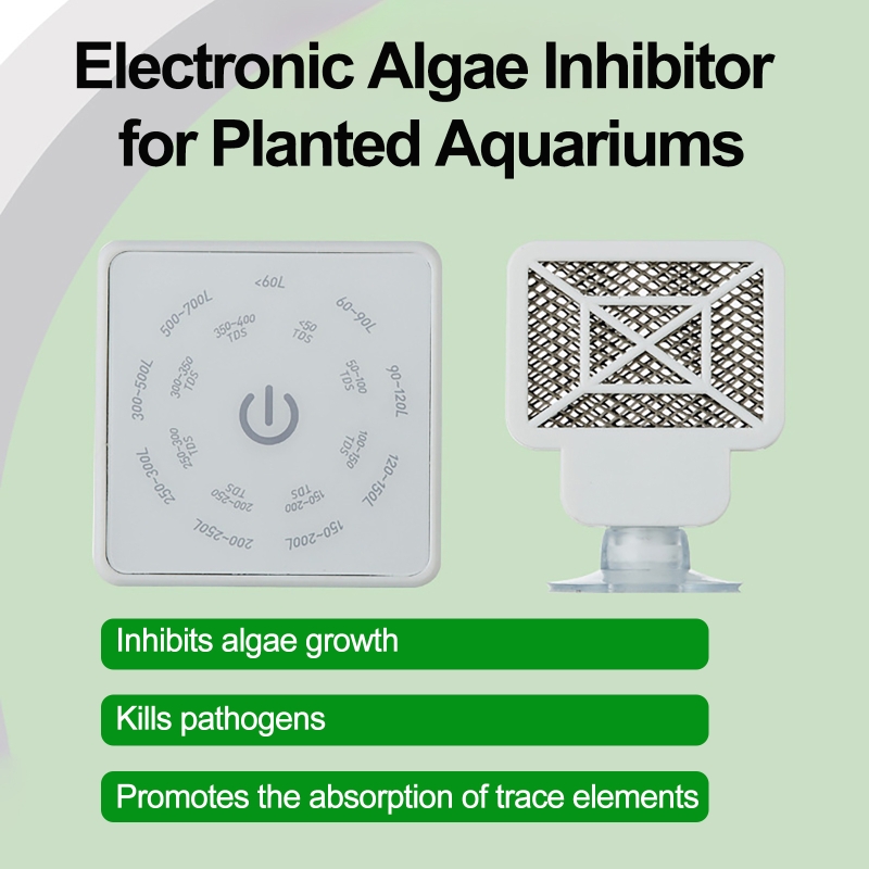 Elektroniczne narzędzie do czy – Planted Aquarium Algae Remover recenzja i cena