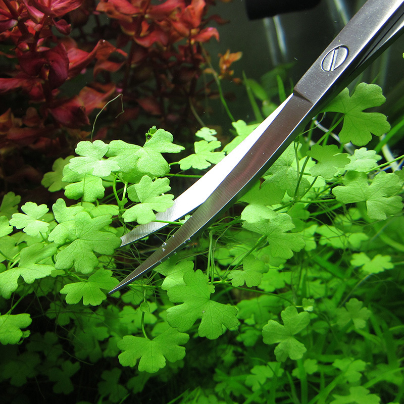 Akcesoria do akwarium Twarde n – Planted Aquarium Tools recenzja i cena