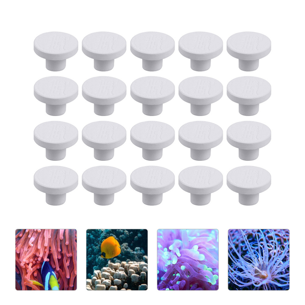 Podstawki ceramiczne SPS do ko – Aquarium Plant Design recenzja i cena