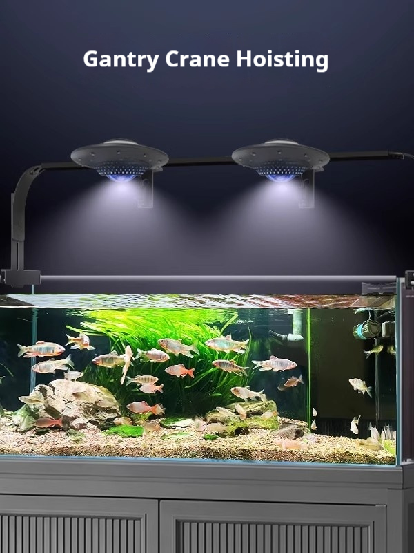 Lampa akwariowa UFO Fish, pełn – Planted Aquarium For Goldfish recenzja i cena