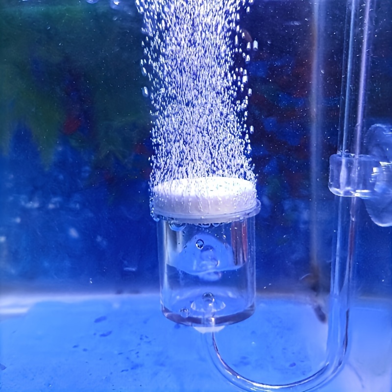 Szklany atomizer CO2 do akwari – Aquarium Plants Book recenzja i cena