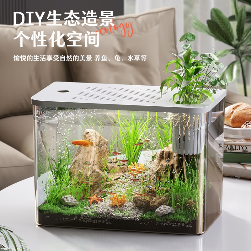 Plastikowy Akwarium z Pokrywką – Planted Aquarium For Goldfish recenzja i cena