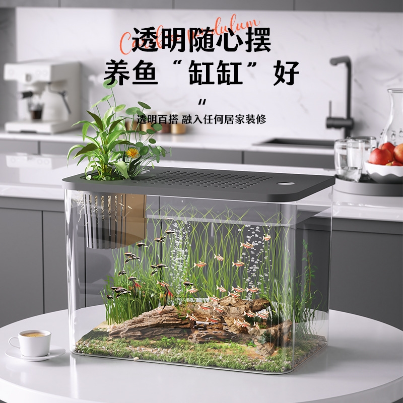 Plastikowy Akwarium z Pokrywką – Planted Aquarium For Goldfish recenzja i cena