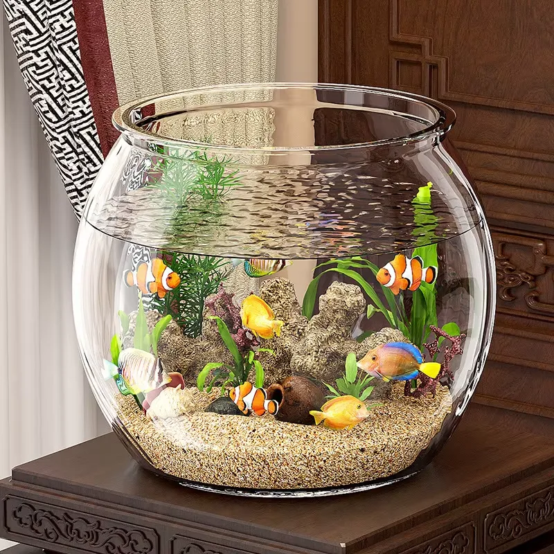 Wysokiej jakości kompaktowy pr – Planted Aquarium For Goldfish recenzja i cena