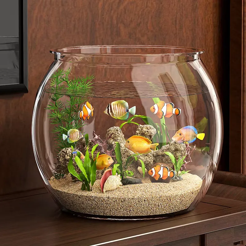 Wysokiej jakości kompaktowy pr – Planted Aquarium For Goldfish recenzja i cena