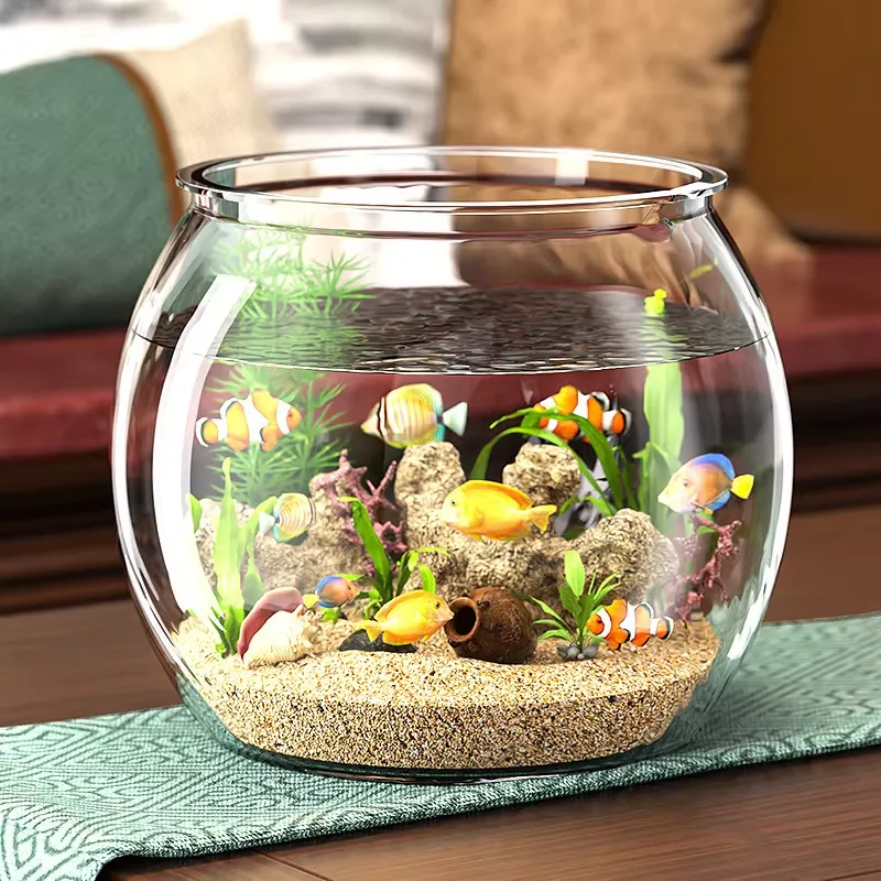 Wysokiej jakości kompaktowy pr – Planted Aquarium For Goldfish recenzja i cena