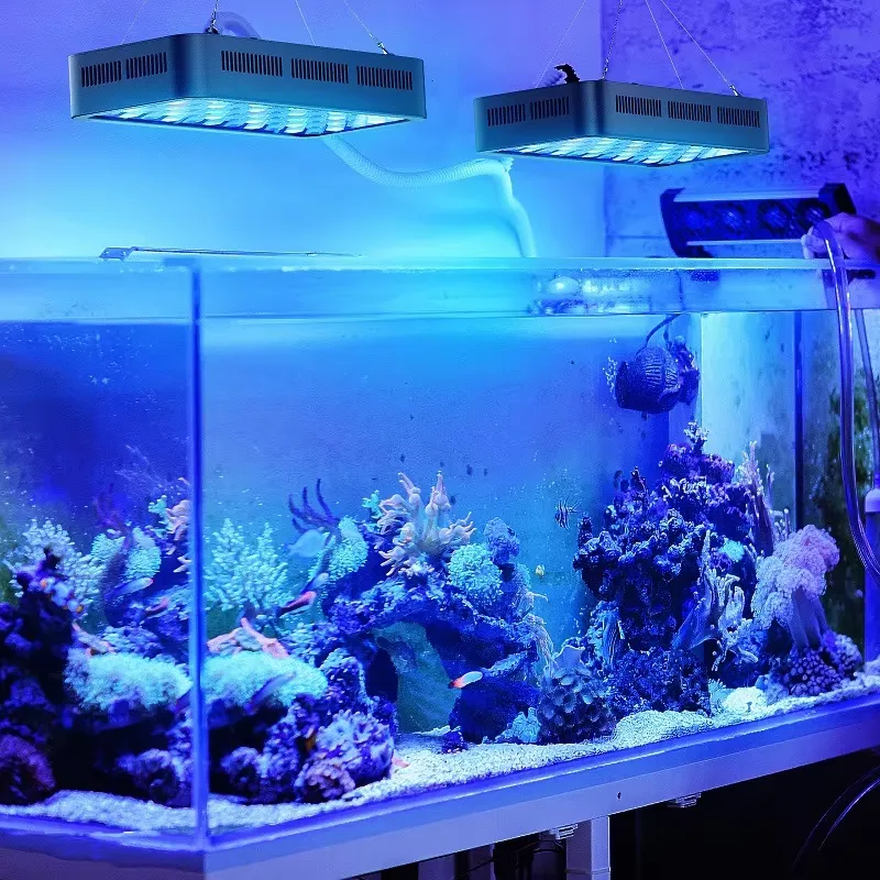 Sterowanie przez aplikację Wi- – Planted Aquarium Models recenzja i cena