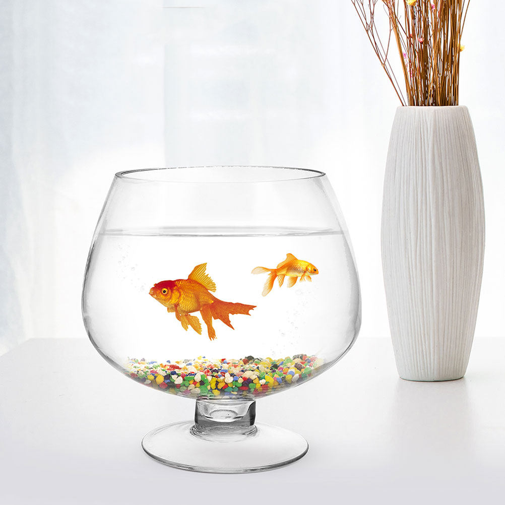 2 szt. przezroczyste szklane a – Planted Aquarium For Goldfish recenzja i cena