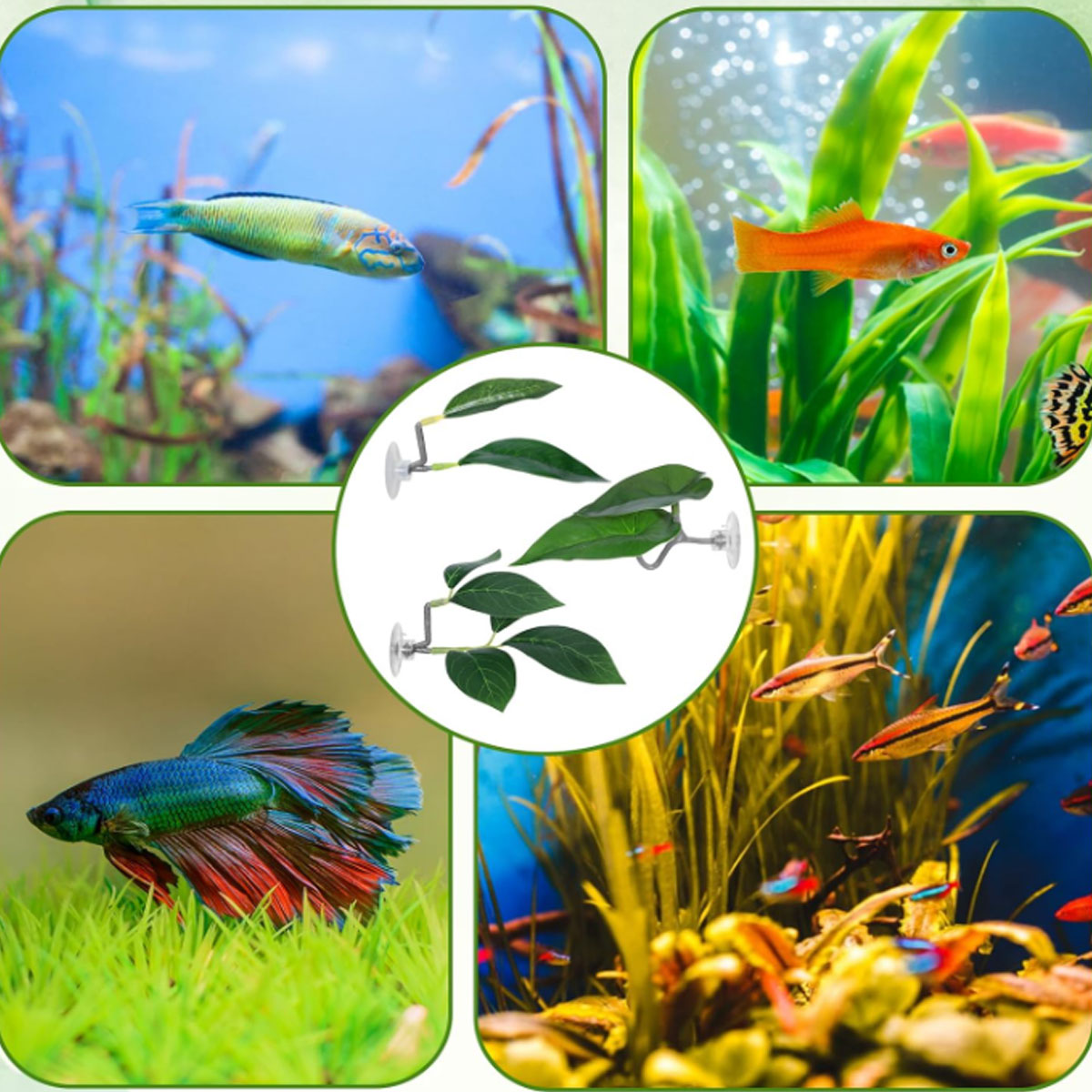 Hamak dla rybki Betta, miękki  – Aquarium Plant Design recenzja i cena