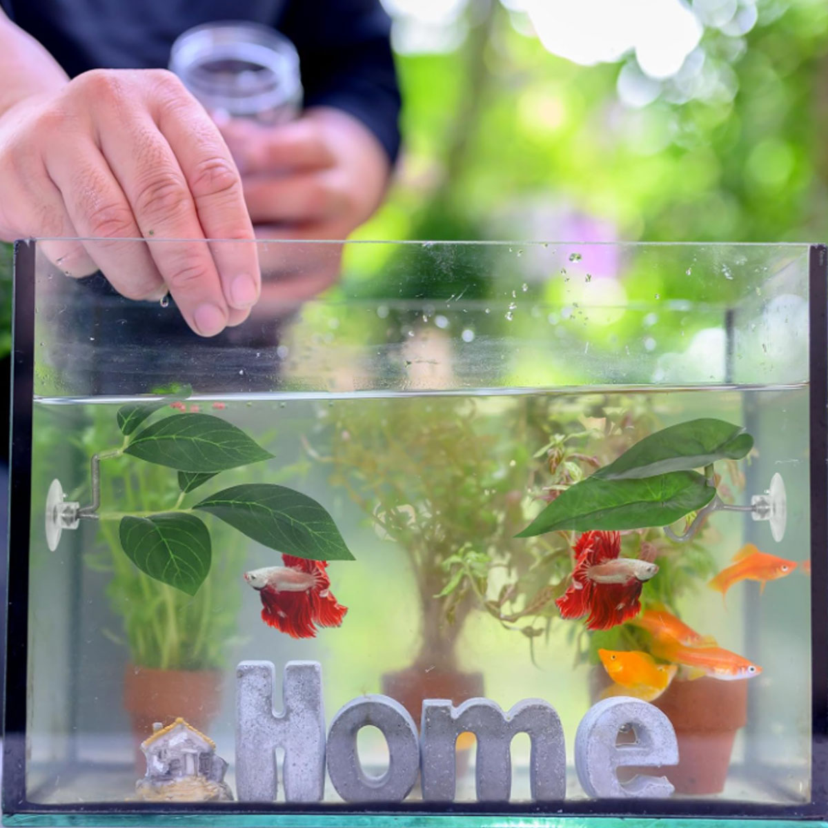 Hamak dla rybki Betta, miękki  – Aquarium Plant Design recenzja i cena