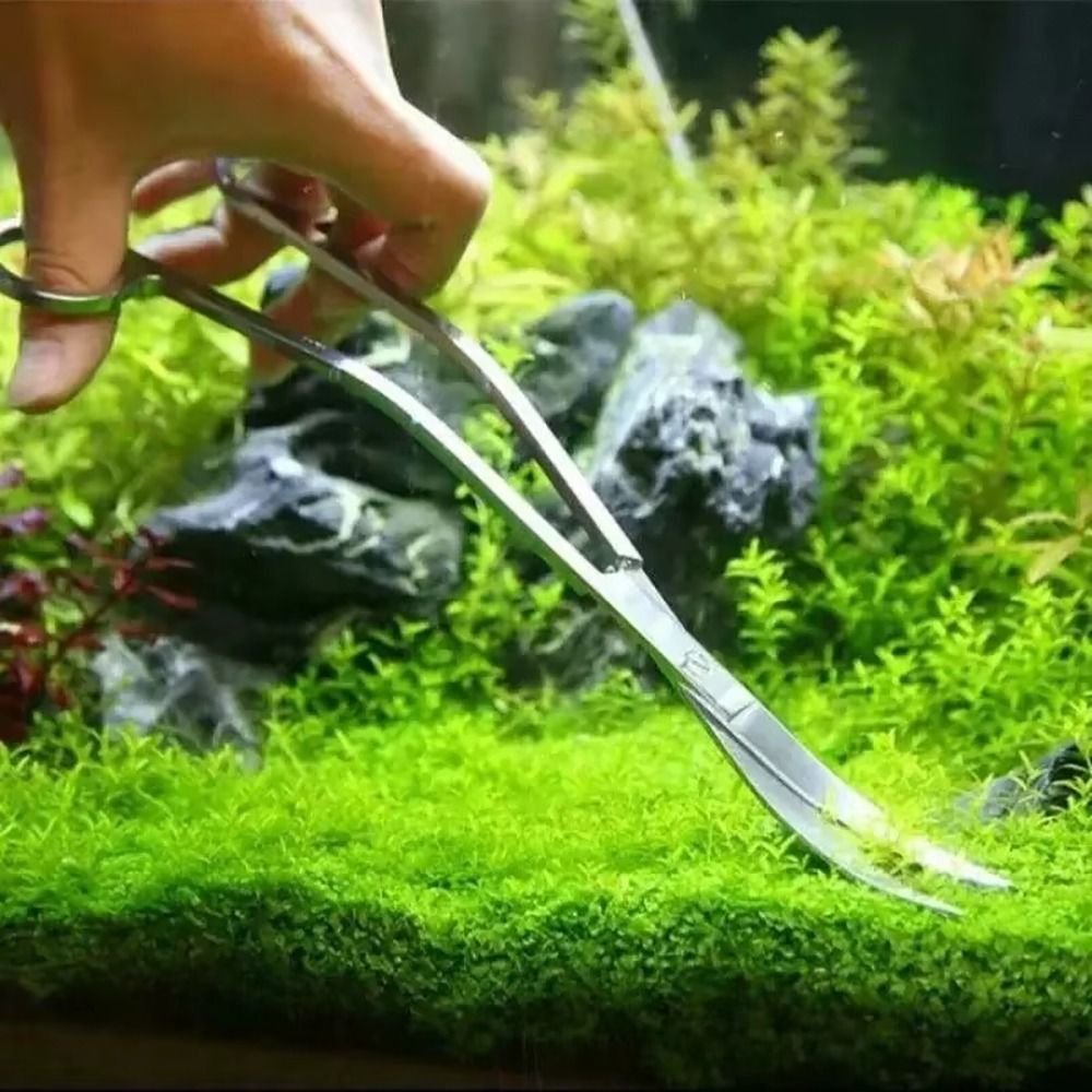 1 szt. Nożyczki do akwarium ze – Aquarium Plant Iron recenzja i cena
