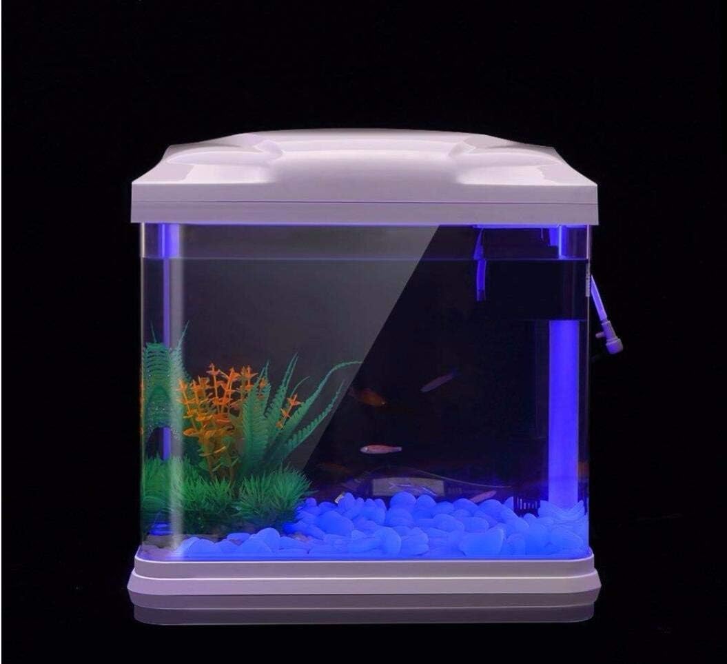 Fish Tank Rocks Glow Blue Pebb – Aquarium Plants Book recenzja i cena