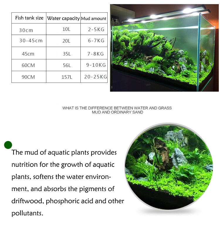 Roślina akwariowa nasiona gleb – Aquarium Plants Book recenzja i cena