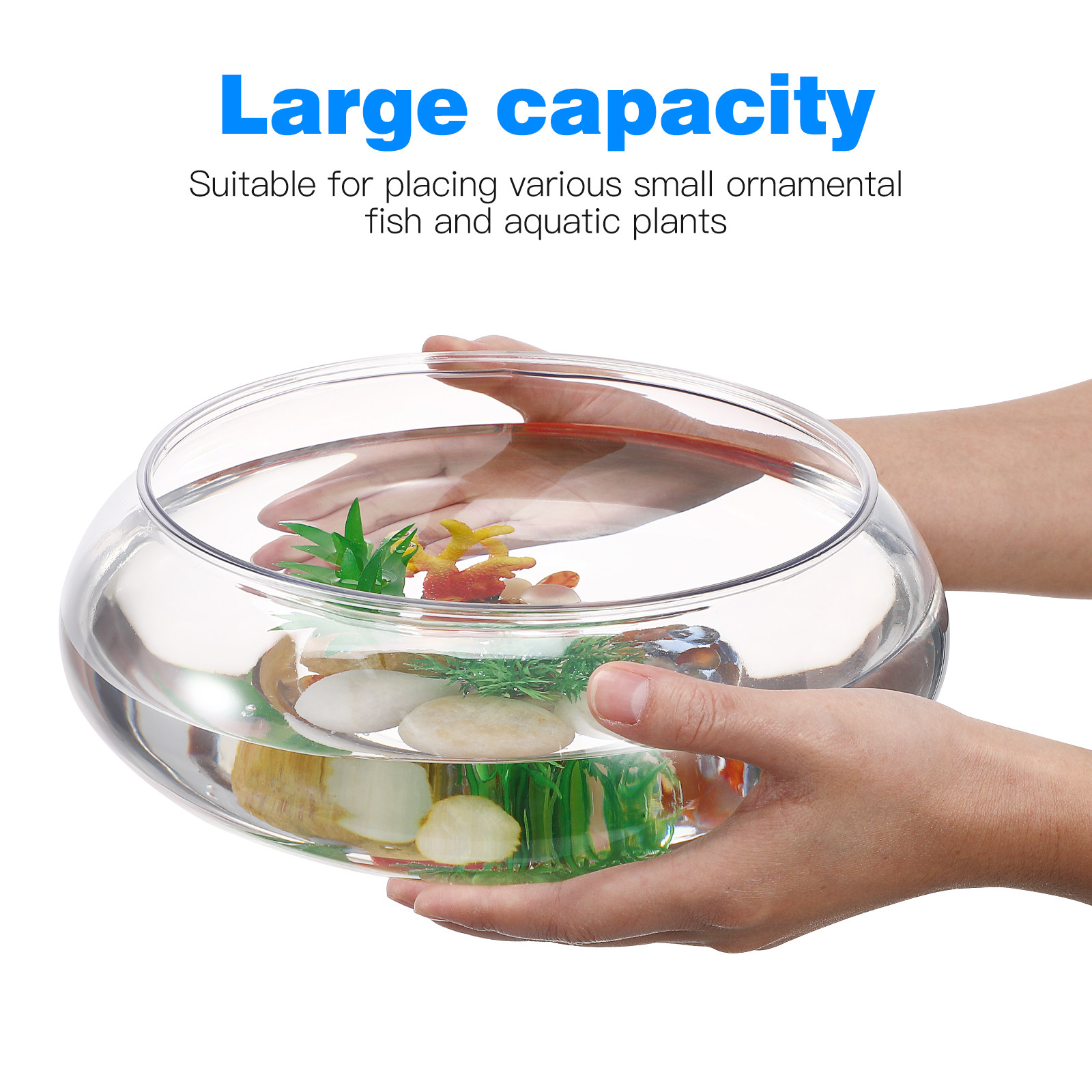 Przezroczyste akwarium 2800 ml – Planted Aquarium For Goldfish recenzja i cena