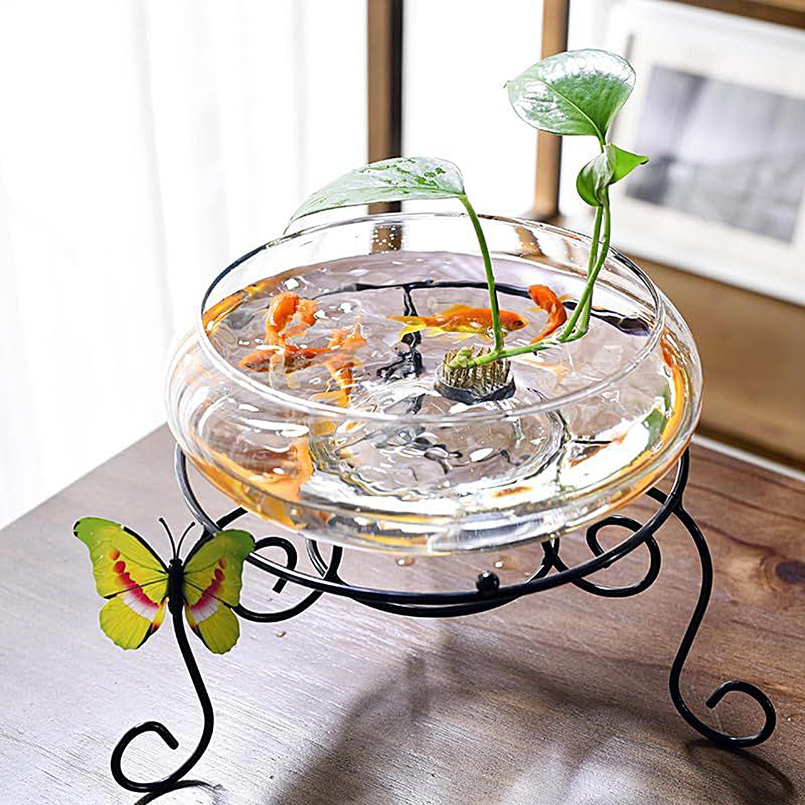 Szklana misa na ryby, duża szk – Planted Aquarium For Goldfish recenzja i cena