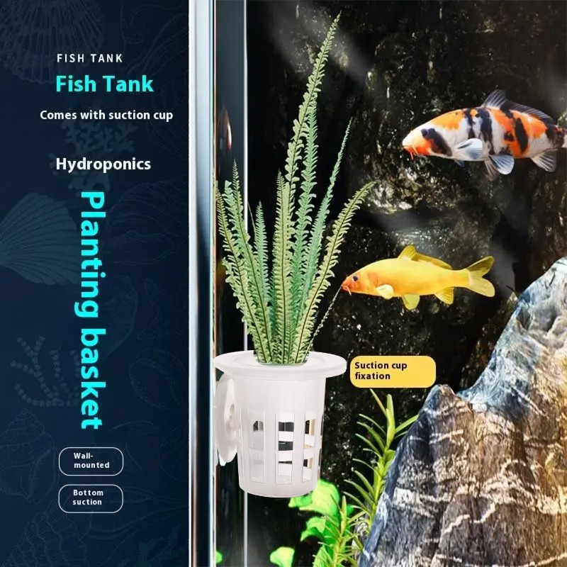 10/20/30 szt. plastikowych kub – Aquarium Plant Design recenzja i cena