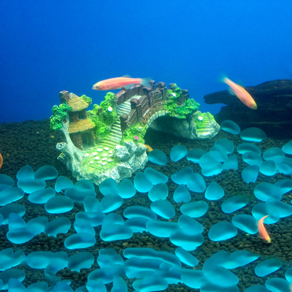 Akcesoria do akwarium Arbor Tr – Planted Aquarium Media recenzja i cena