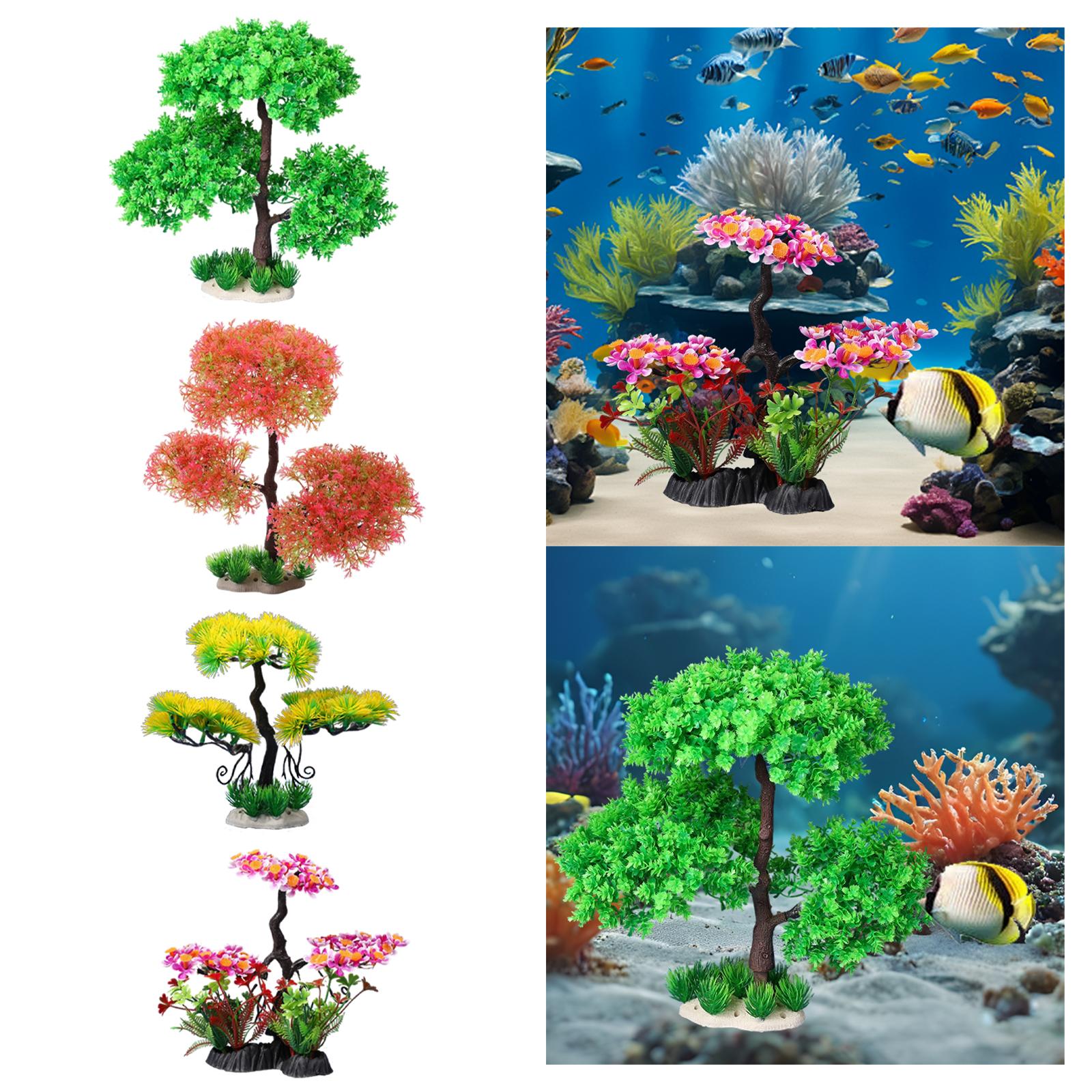 Rośliny akwariowe do słodkowod – Planted Aquarium Models recenzja i cena