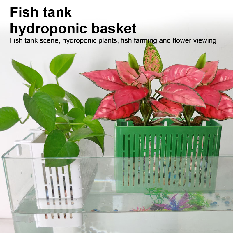 【F】Wiszący pojemnik do akwariu – Aquarium Plants Book recenzja i cena
